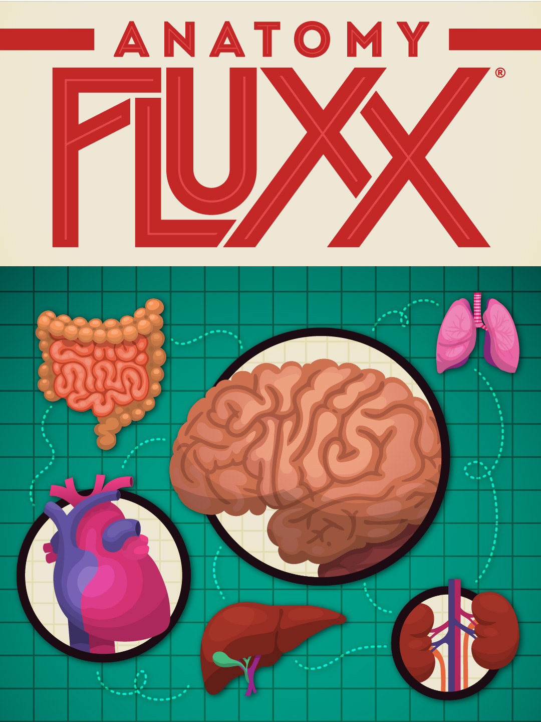 Anatomy Fluxx flat cover